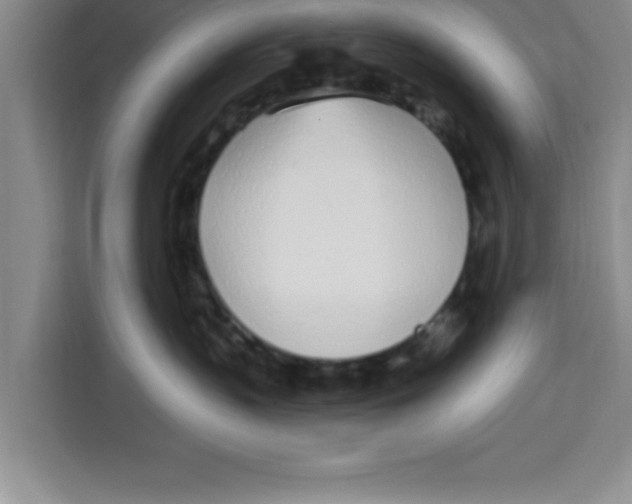 X0000113920383200910221358