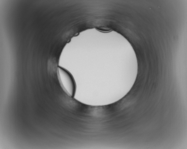 X0000113920384200910221358