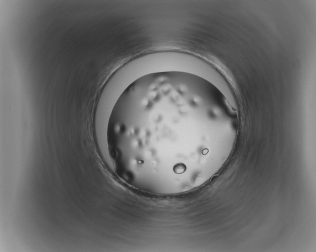 X0000113920385200910221358