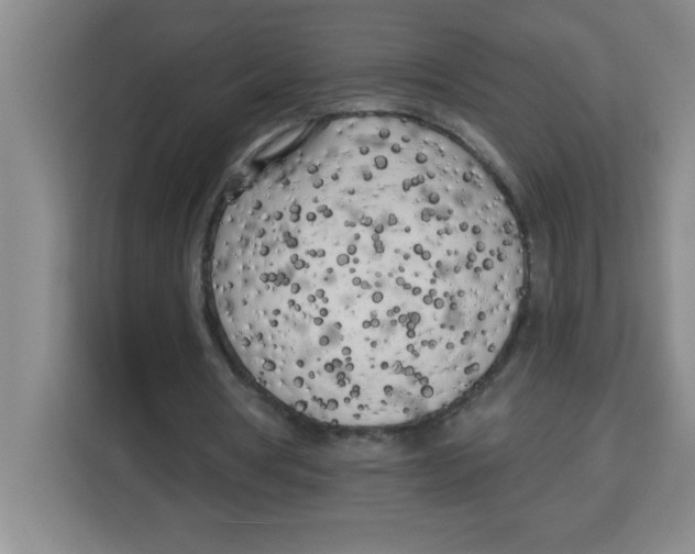 X0000113920386200910221358