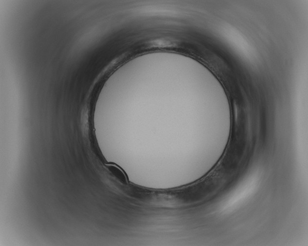 X0000113920387200910221358