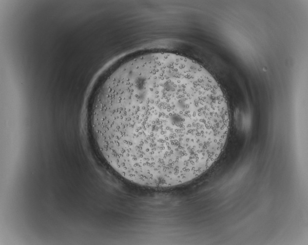X0000113920388200910221358