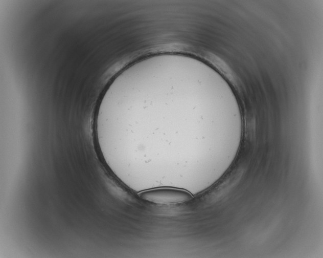 X0000113920389200910221358