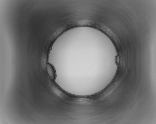 X0000113920393200910221358