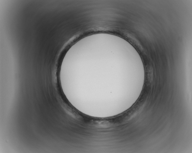 X0000113920395200910221358