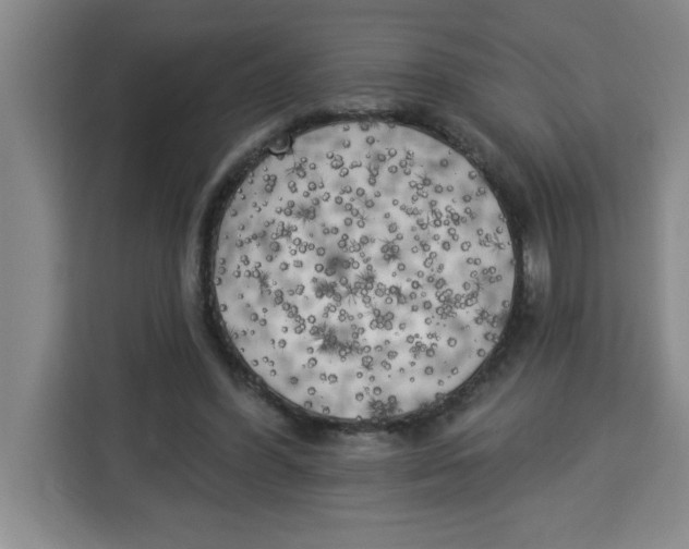 X0000113920396200910221358