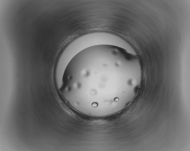 X0000113920397200910221357