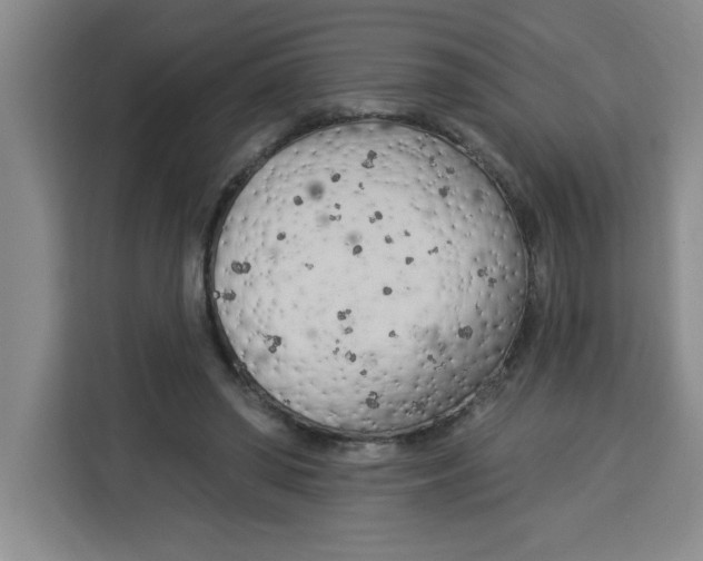 X0000113920398200910221357