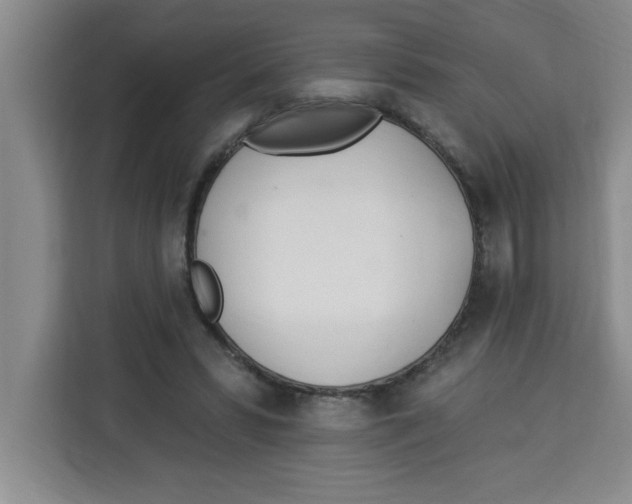 X0000113920399200910221357