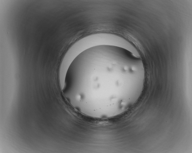 X0000113920401200910221357