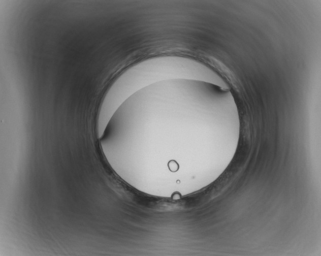 X0000113920405200910221357