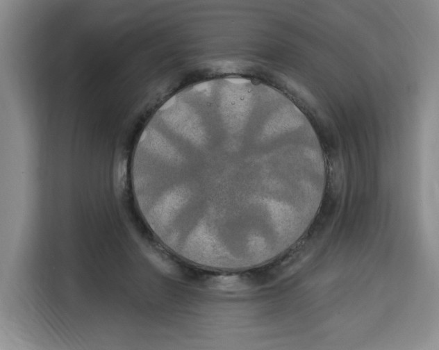 X0000113920406200910221357