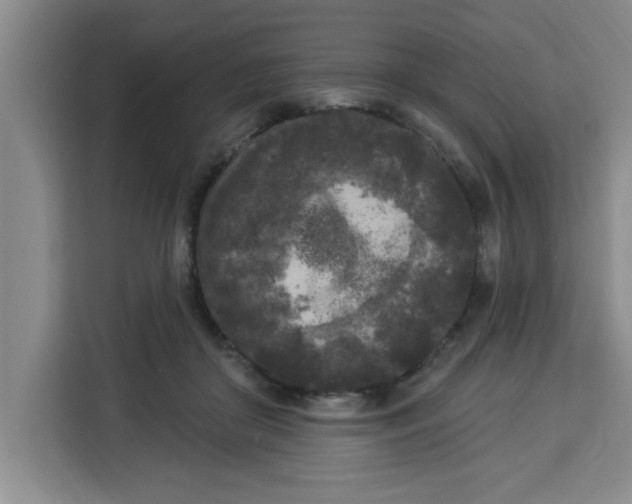 X0000113920410200910221357