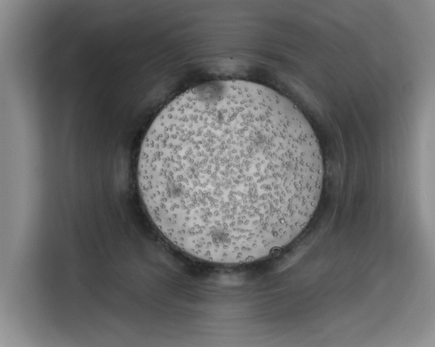 X0000113920416200910221357