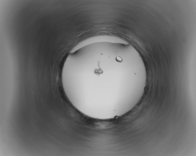 X0000113920417200910221357