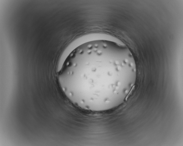 X0000113920419200910221357