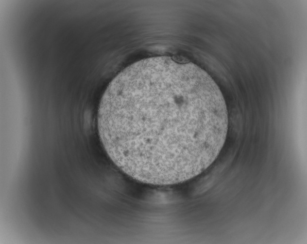 X0000113920420200910221357
