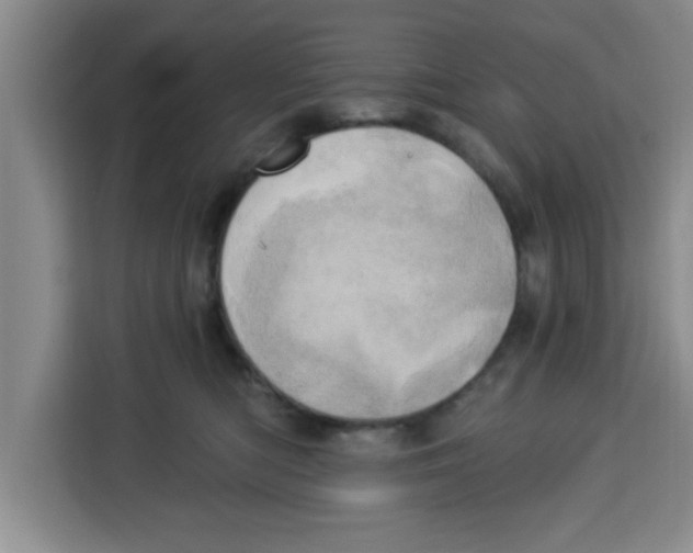 X0000113920422200910221357