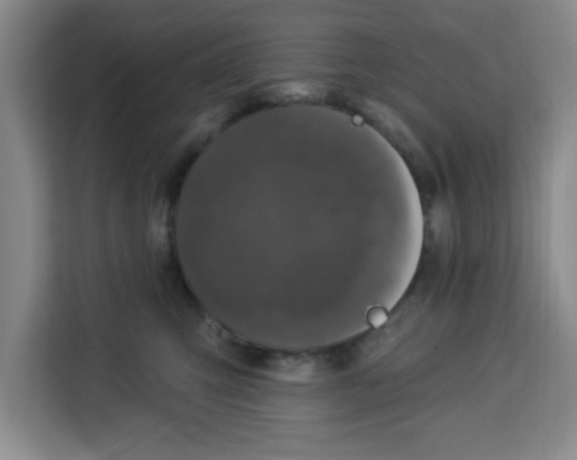 X0000113920423200910221357