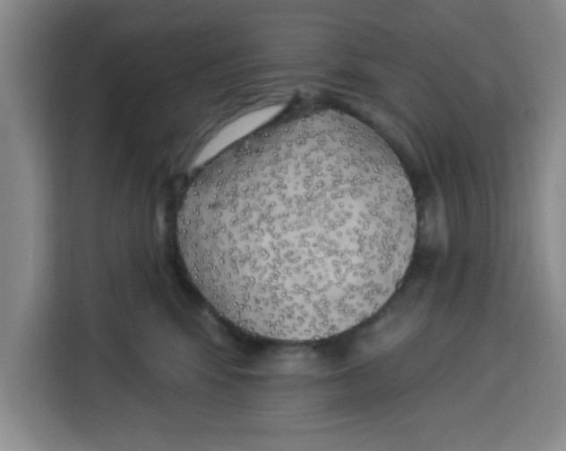 X0000113920424200910221357