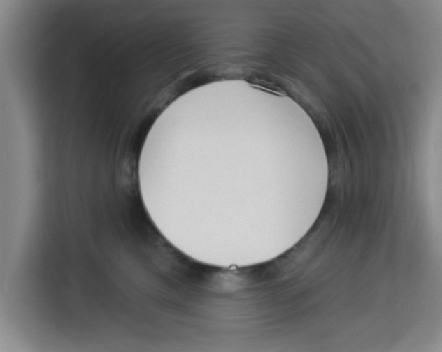 X0000113920425200910221357