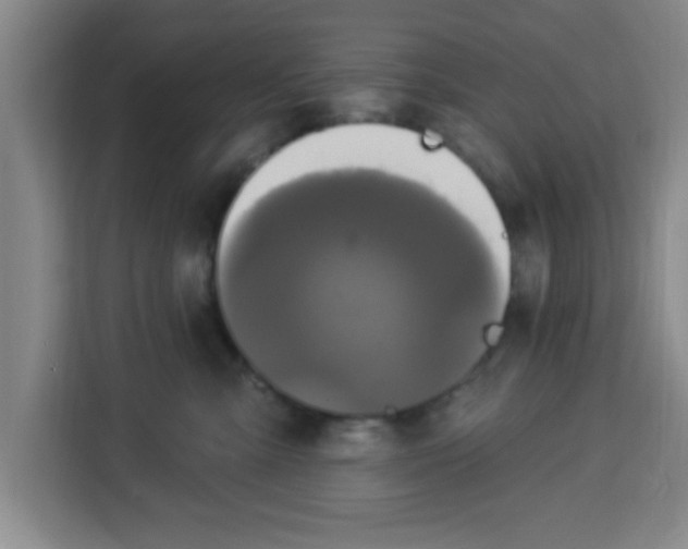 X0000113920427200910221357
