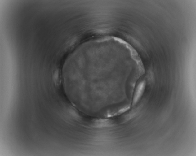 X0000113920428200910221357
