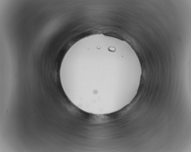 X0000113920429200910221357