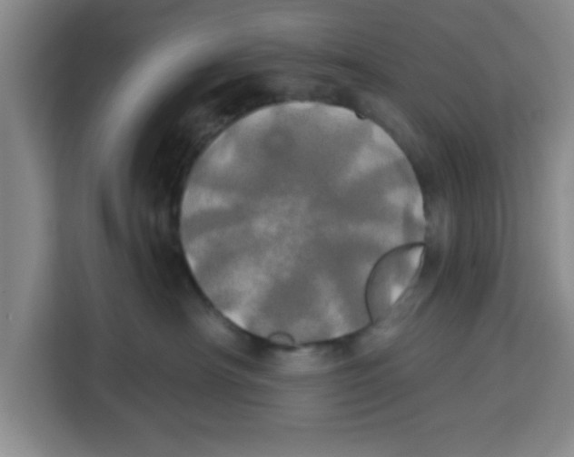 X0000113920430200910221357