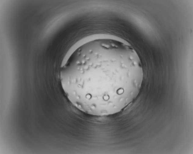 X0000113920431200910221357
