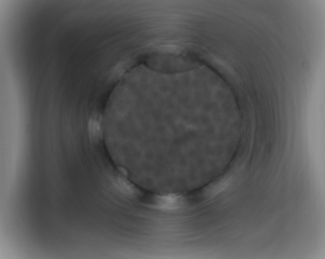X0000113920432200910221357