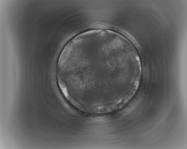 X0000113920433200910221356