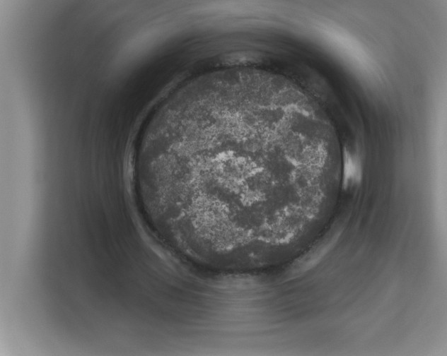 X0000113920435200910221356