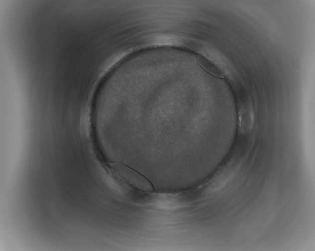 X0000113920436200910221356