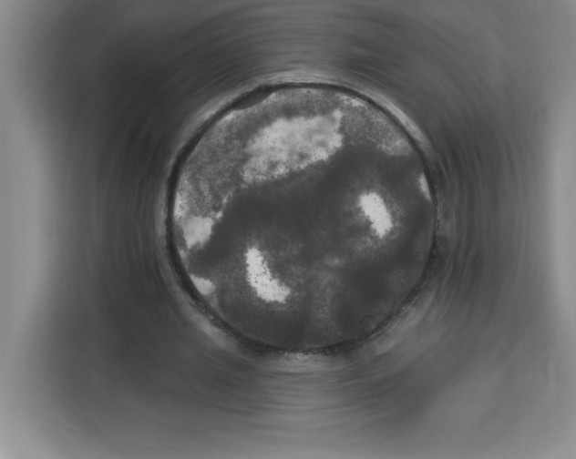 X0000113920437200910221356