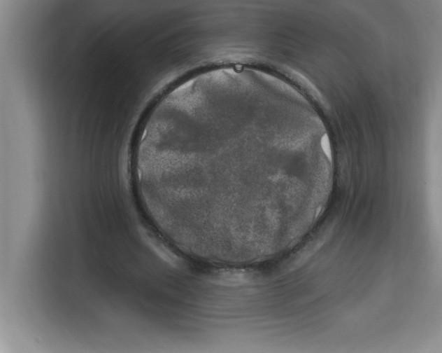X0000113920439200910221356