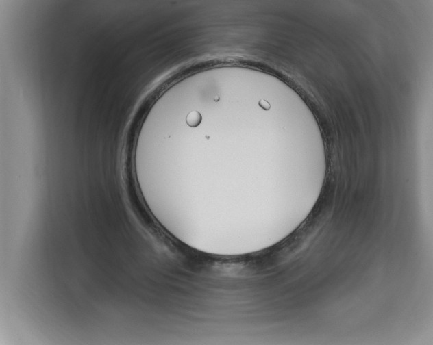 X0000113920440200910221357