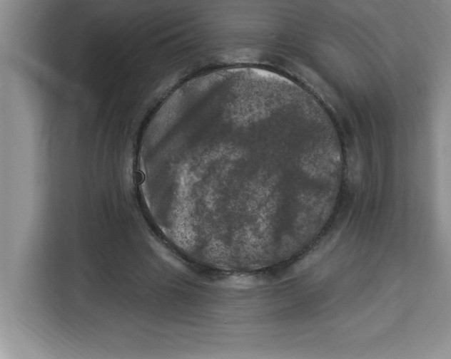 X0000113920441200910221357