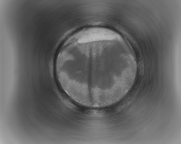X0000113920442200910221357
