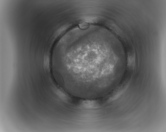 X0000113920444200910221357