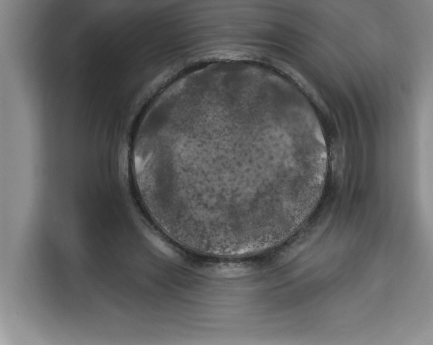 X0000113920445200910221357