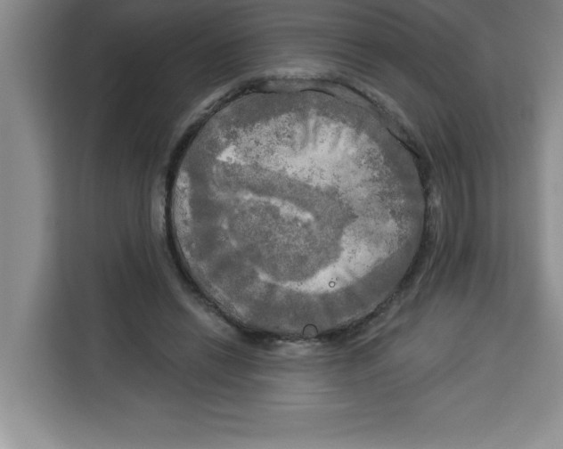 X0000113920446200910221357