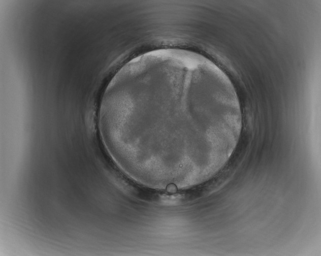 X0000113920450200910221357