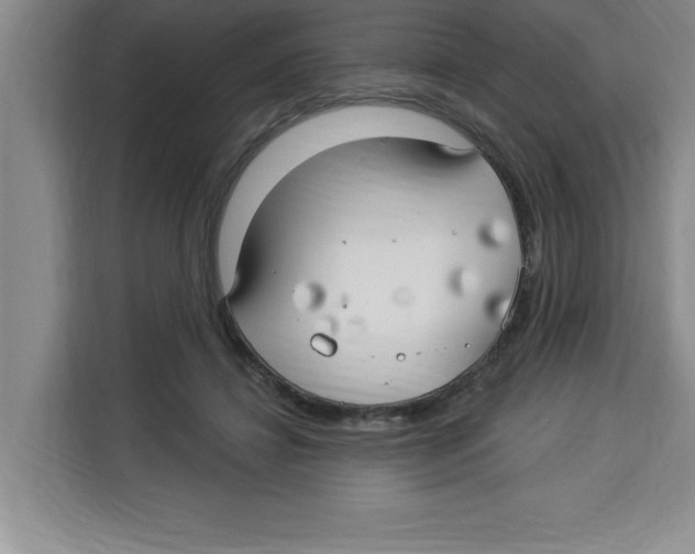X0000113920452200910221357