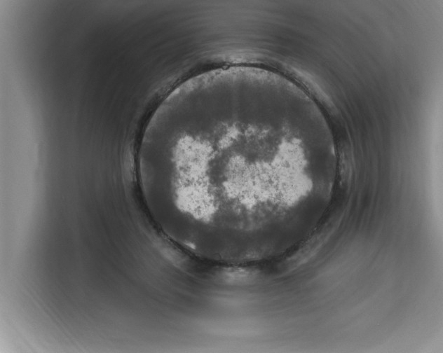 X0000113920453200910221357