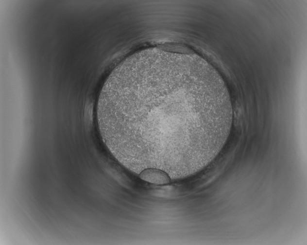 X0000113920454200910221357