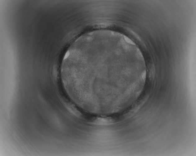 X0000113920455200910221357
