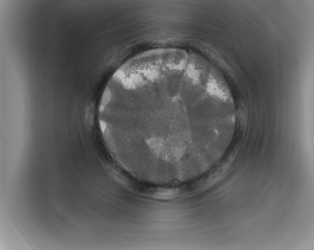 X0000113920458200910221357
