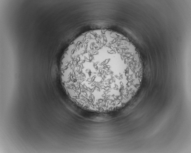 X0000113920459200910221357