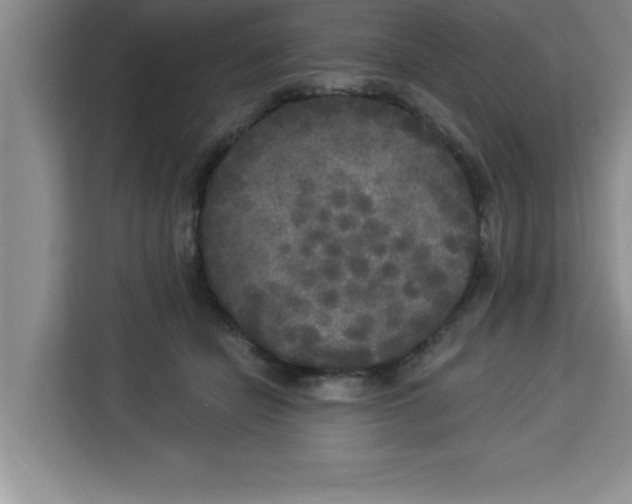 X0000113920462200910221357
